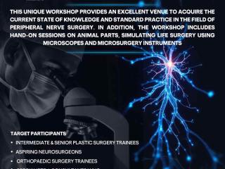 Peripheral Nerve Surgery 101 Workshop