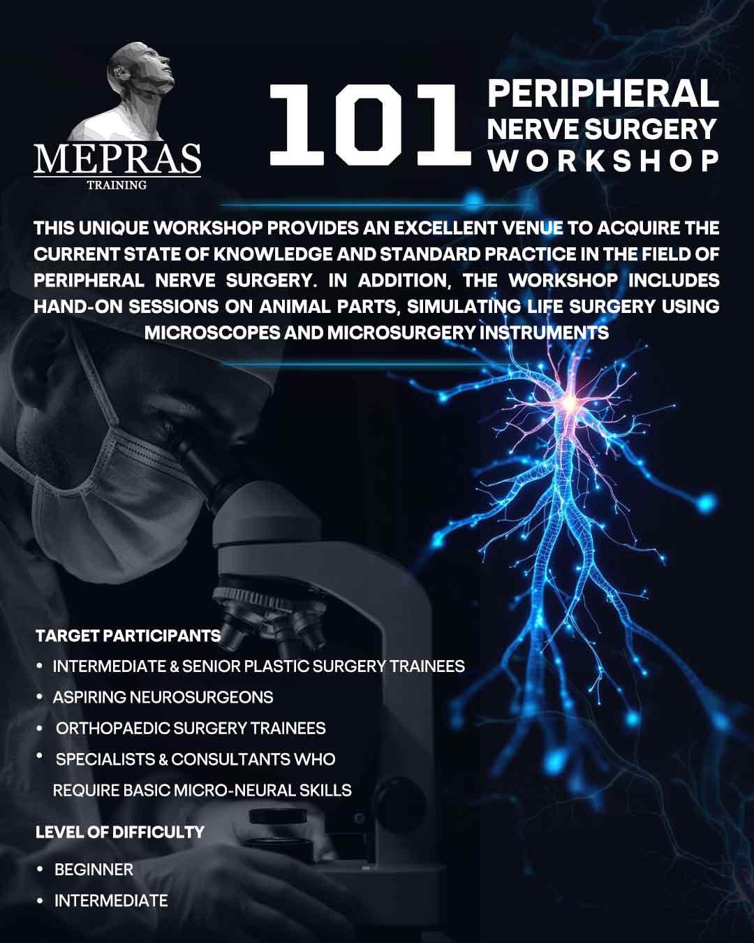 Peripheral Nerve Surgery 101 Workshop