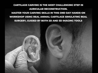 Ear Carving (Hands-on Workshop)