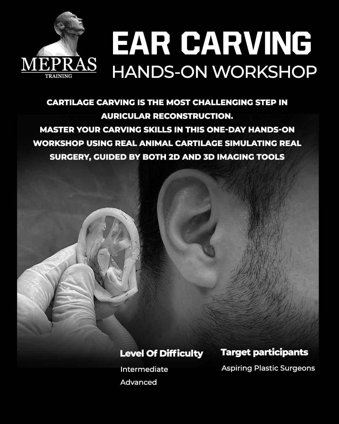 Ear Carving (Hands-on Workshop)