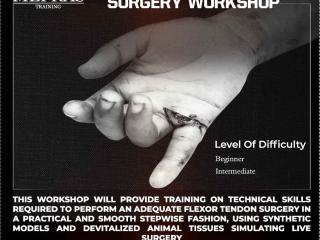 Liverpool Hands-on Flexor Tendon Surgery Workshop